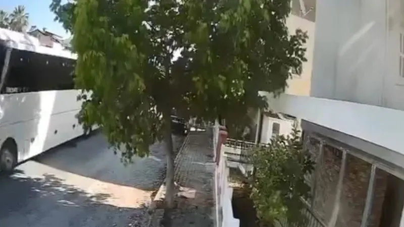 Aydın'da Otobüs Şoföründen Kan Donduran İşkence! Köpeği Ezdi Mi?