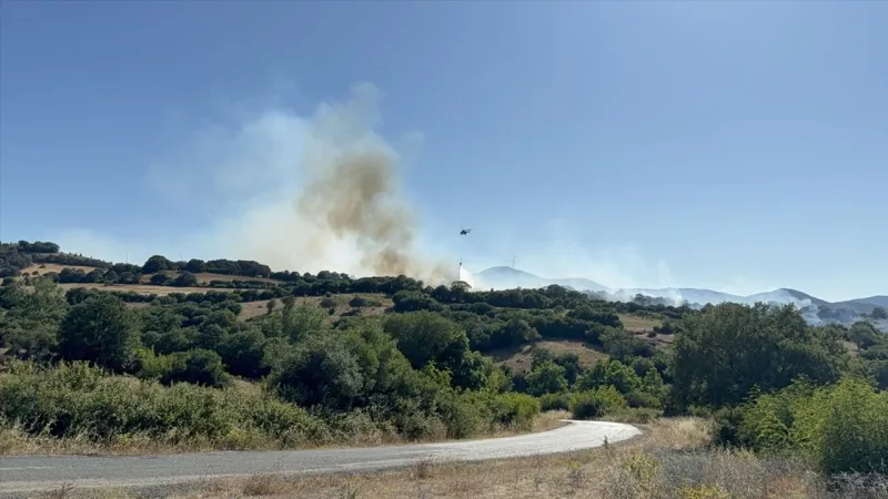Çanakkale'de çıkan yangın kontrol altına alındı