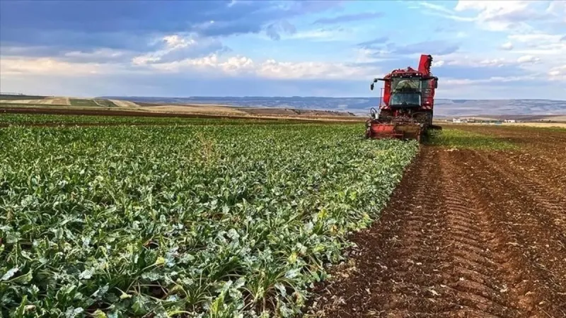 Çiftçi Kayıt Sistemi Yönetmeliği'nde değişikliğe gidildi