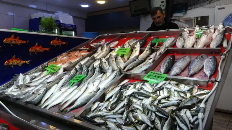 Denizlerin prensi tezgahta yerini aldı! Kilosu 900 liraya düştü