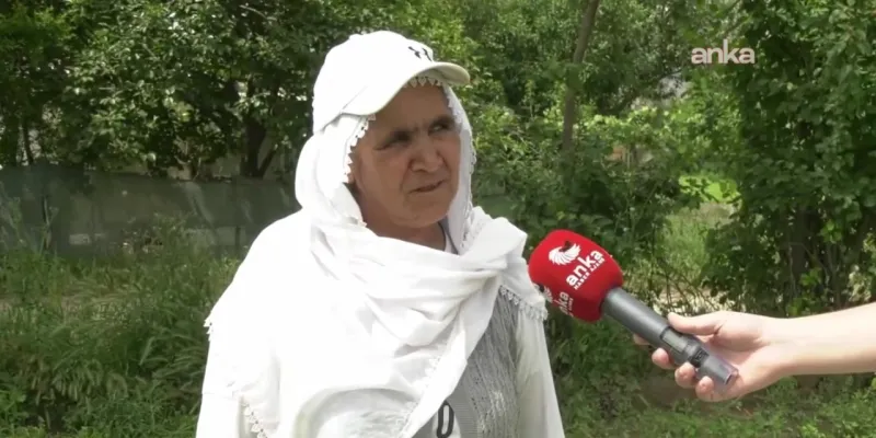 Maydanoz Üreticisi İsyan Bayrağını Açtı! İmamoğlu Mu, Çiftçi Mi?