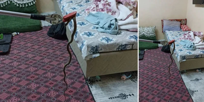 Müstakil eve yılan girdi: İtfaiye zamanında yetişti