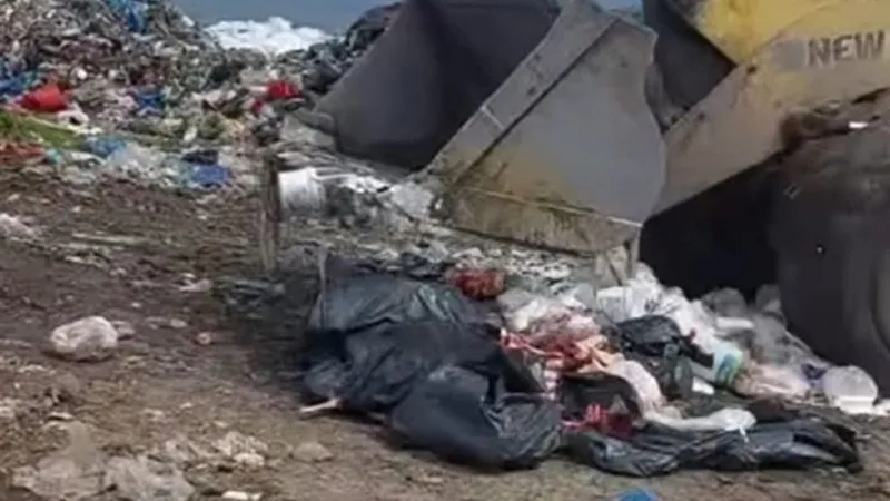 Amasya'da Şok Baskın! Tonlarca Gıda İmha Edildi! Gerçek Ortaya Çıktı!