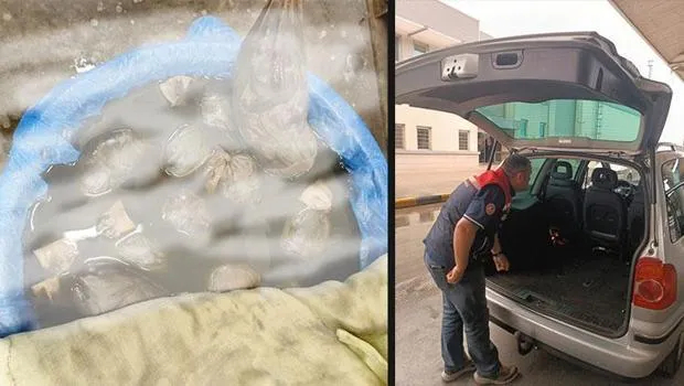 Kapıkule'de kaçak yollarla yurda sokulmak istenen 8 bin adet sülük ele geçirildi