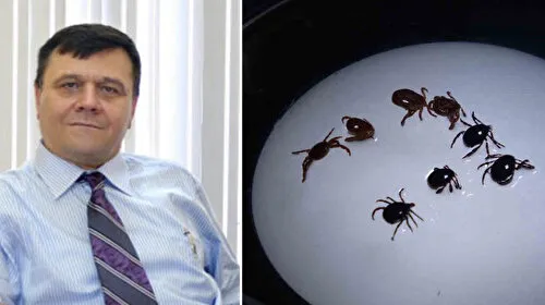 Sivas'ta kene kabusu: Sekiz kişiye KKKA tanısı konuldu, bir kişi hayatını kaybetti