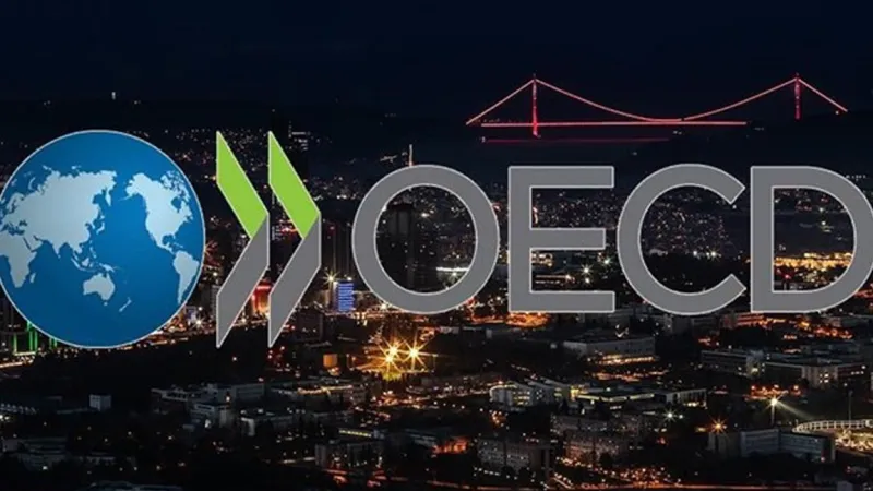 OECD'den Türkiye'ye Şok! Büyüme Beklentisi Çakıldı!