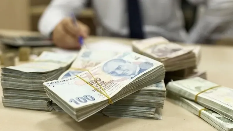 Orman yangınlarından etkilenen üç ile 10 milyon lira destek