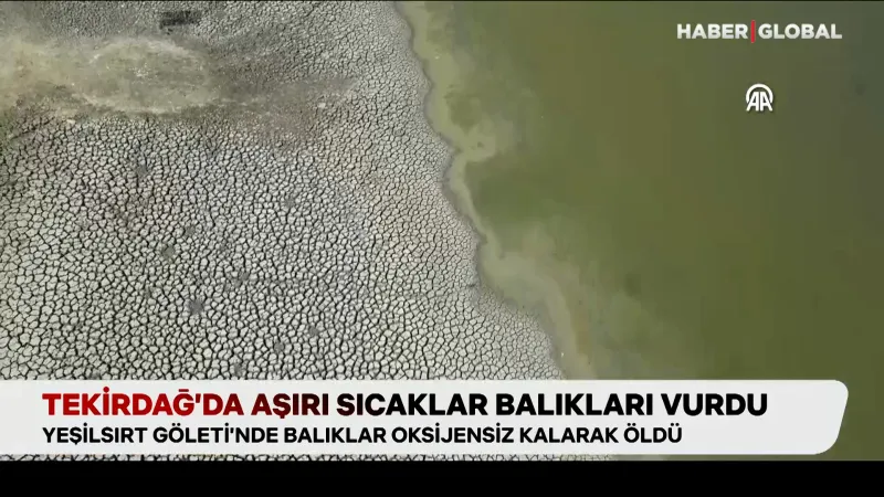 Tekirdağ’da aşırı sıcaklar balıkları vurdu