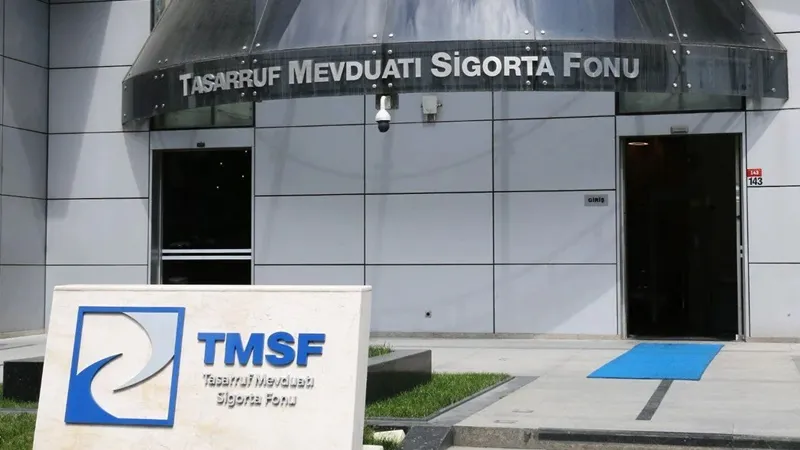 TMSF, 5 şirketi satışa çıkardı: İşte fiyatı...